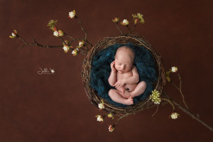 Jelkafotografie Luisa Dunn