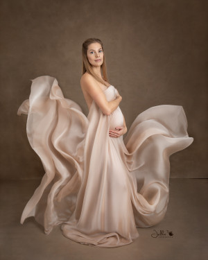 Vings Pregnancy Jelkafotografie